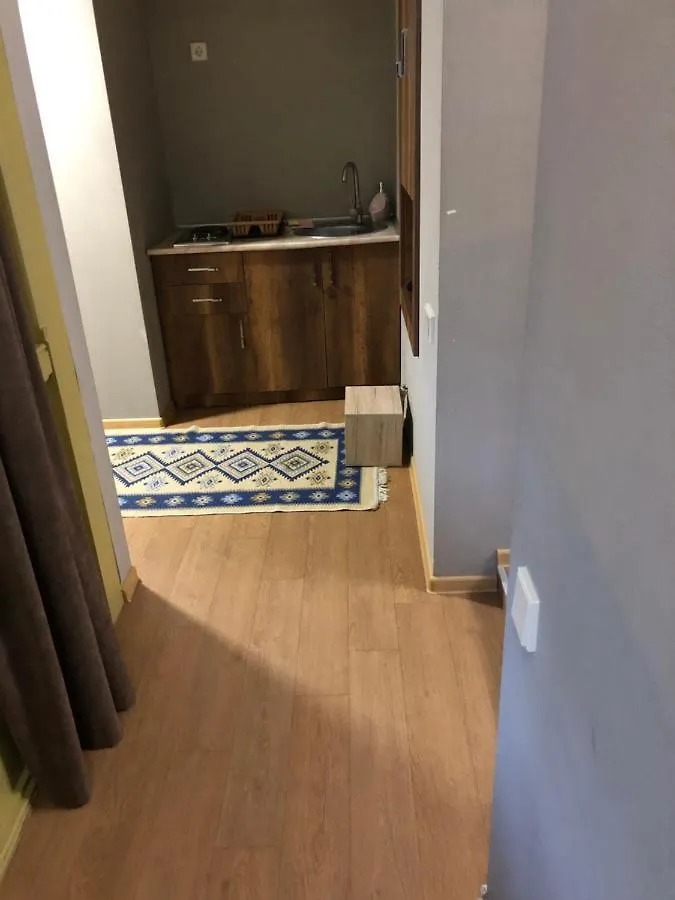 Apartment Tamarioni Tbilisi Georgia